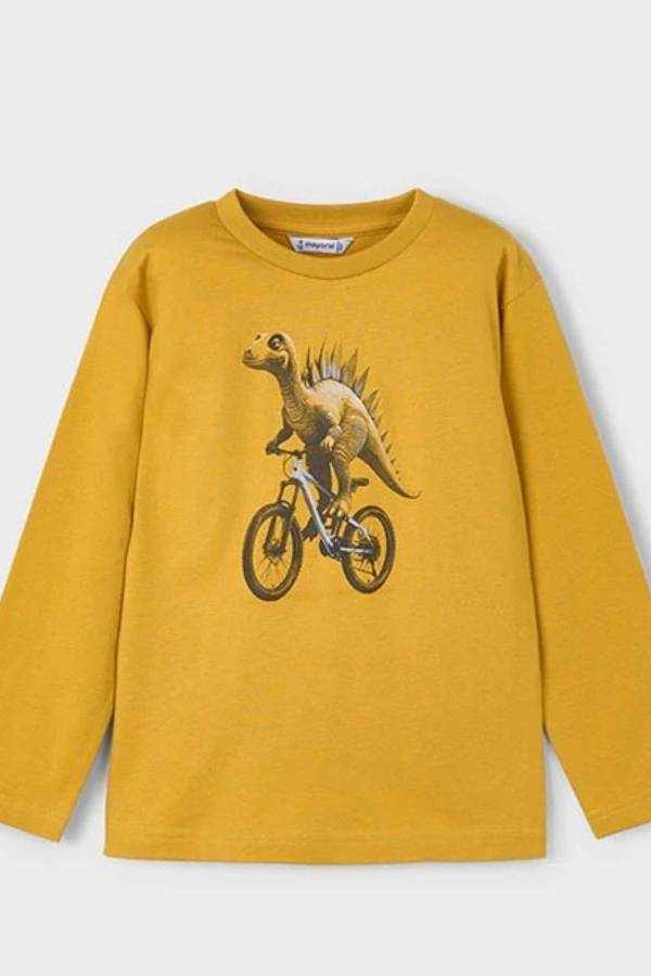 Mayoral Erkek Çocuk Desenli Uzun Kol T-shrit